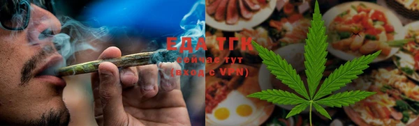 мдпв Рославль