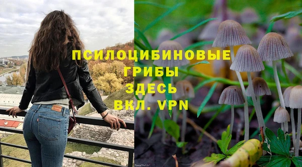 соль ск Белокуриха
