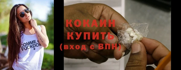 соль ск Белокуриха