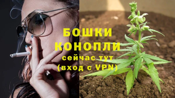 соль ск Белокуриха