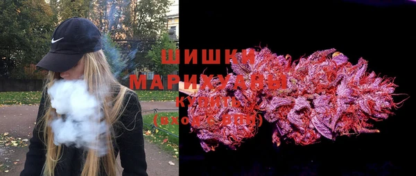 соль ск Белокуриха