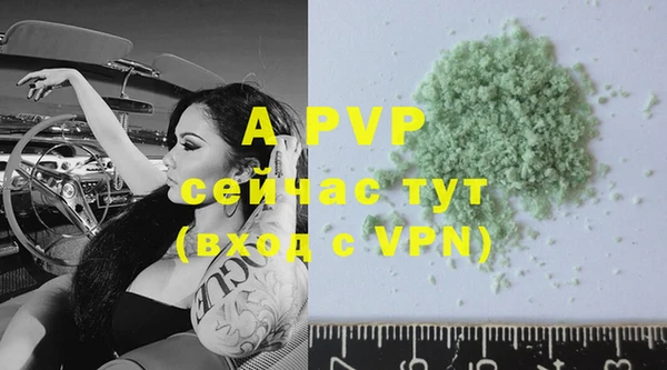 соль ск Белокуриха
