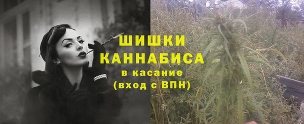 соль ск Белокуриха